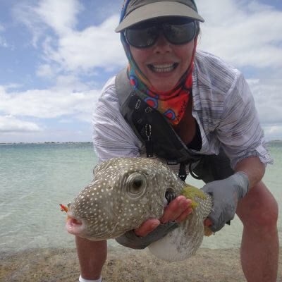 Teri Beatty - Christmas Island Puffer Fish