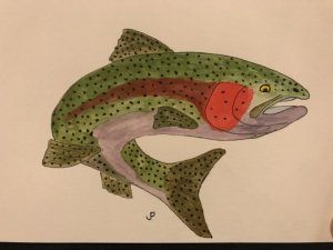 jp trout