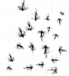 dlynch flies