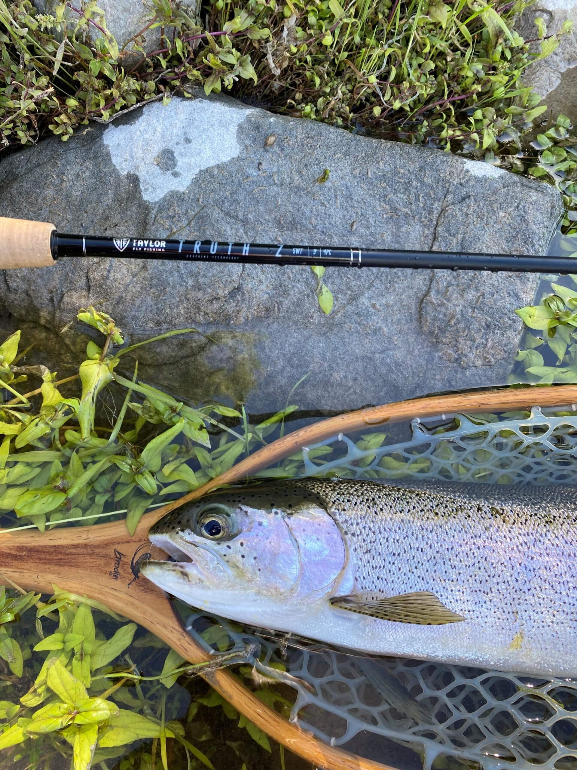Literary Angler - Trout Rod Review - FlyFishers' Club of Oregon