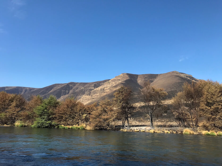 Riparian burn 2018