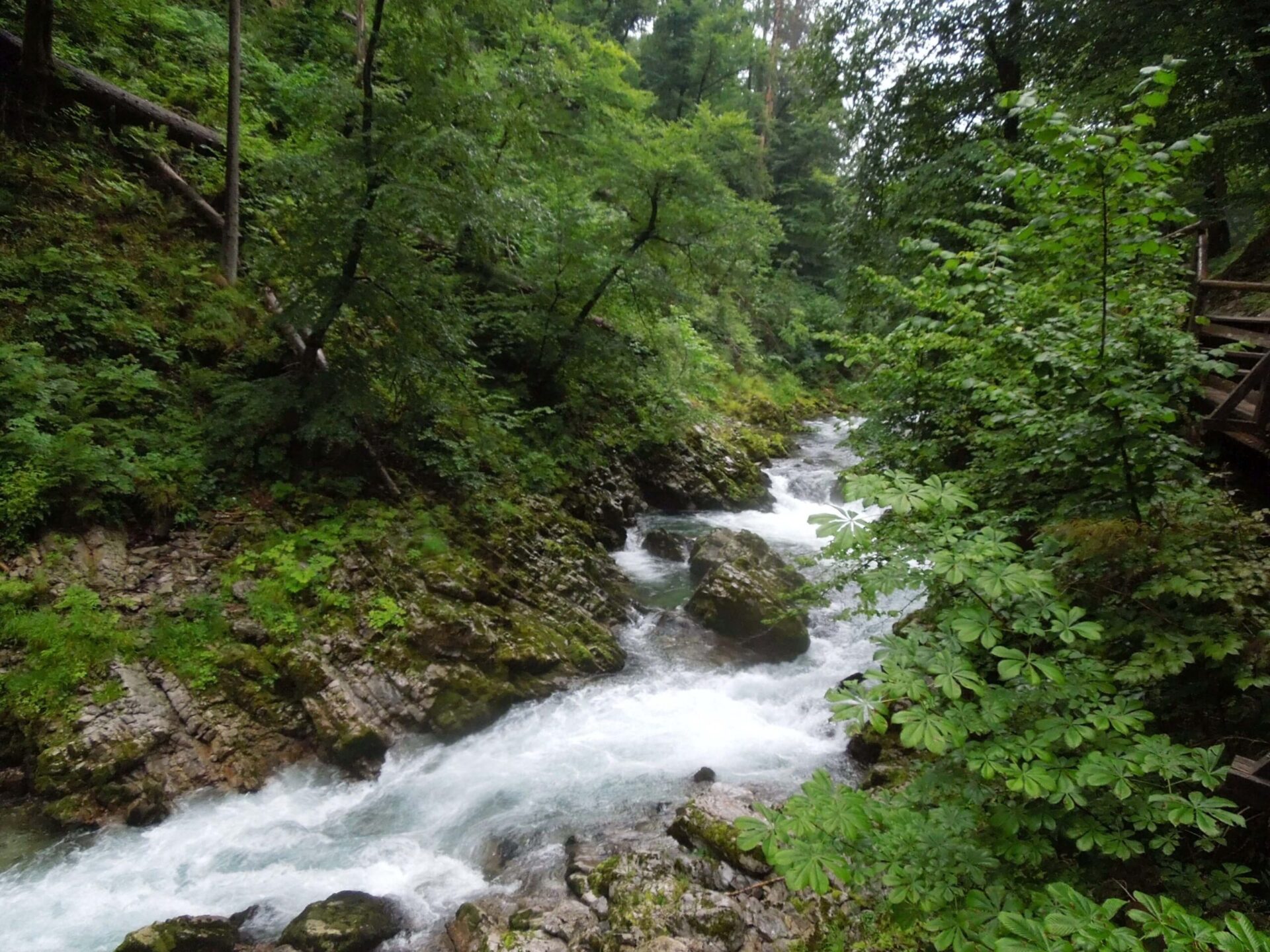 Slovenian gorge