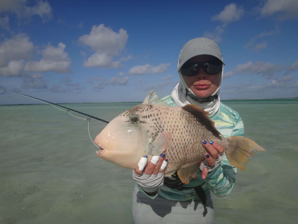 triggerfish