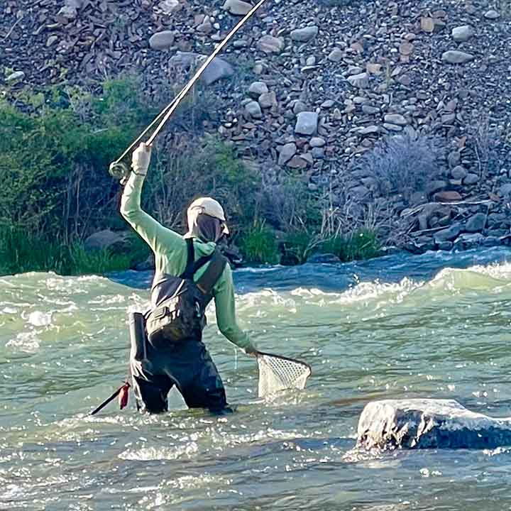Woman landing redside trout