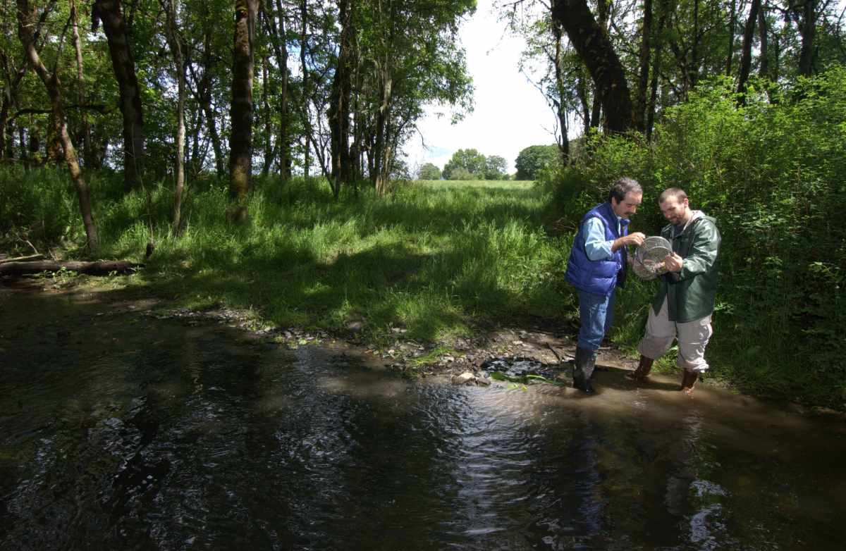 two conservation workers standing in stream